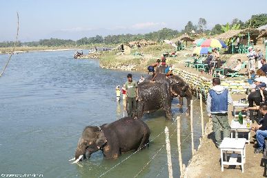 nepal.2007/chitwan.np.18.small.jpg