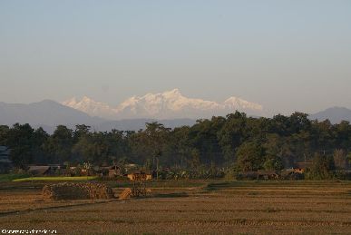 nepal.2007/chitwan.np.26.small.jpg